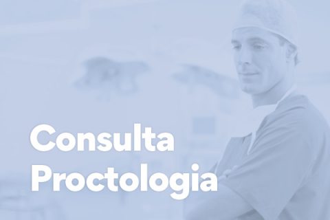 Consulta Proctologia